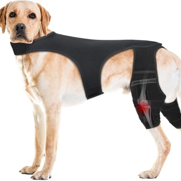 Dog Knee Brace for Hind Legs - Picture 1 of 7